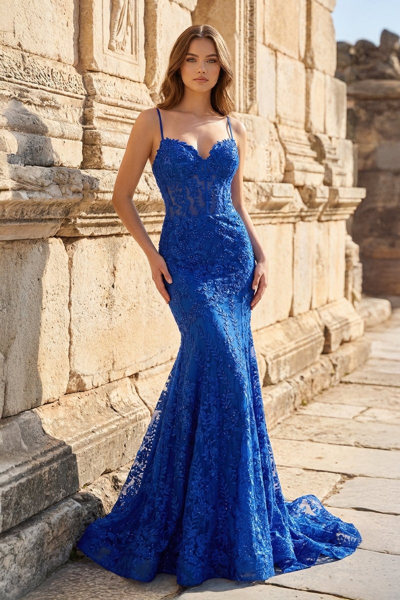 Royal Blue Lace Applique Long Mermaid Dress